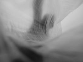 CAROLIN UNRATH PHOTOGRAPHY