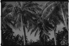 CAROLIN UNRATH PHOTOGRAPHY