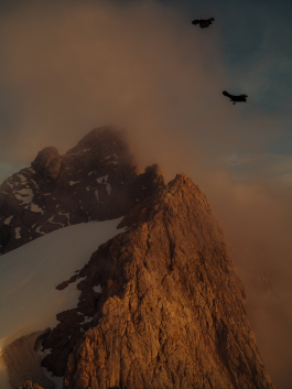 CAROLIN UNRATH PHOTOGRAPHY