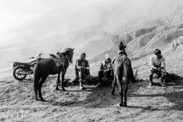 CAROLIN UNRATH PHOTOGRAPHY