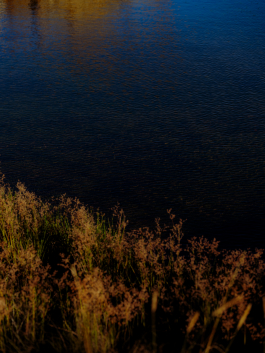 CAROLIN UNRATH PHOTOGRAPHY