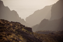 CAROLIN UNRATH PHOTOGRAPHY