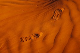 CAROLIN UNRATH PHOTOGRAPHY