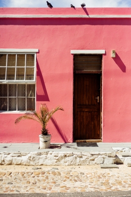 CAROLIN UNRATH PHOTOGRAPHY