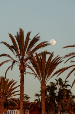 CAROLIN UNRATH PHOTOGRAPHY