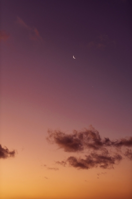 CAROLIN UNRATH PHOTOGRAPHY