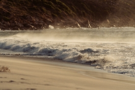 CAROLIN UNRATH PHOTOGRAPHY