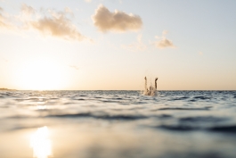 CAROLIN UNRATH PHOTOGRAPHY