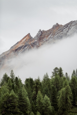 CAROLIN UNRATH PHOTOGRAPHY