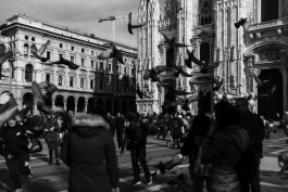 CAROLIN UNRATH PHOTOGRAPHY