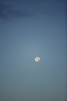 CAROLIN UNRATH PHOTOGRAPHY