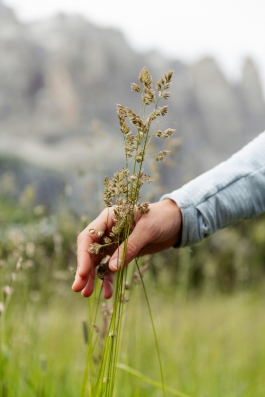 CAROLIN UNRATH PHOTOGRAPHY