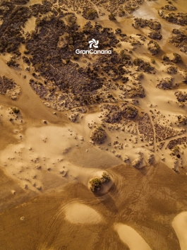 CAROLIN UNRATH PHOTOGRAPHY