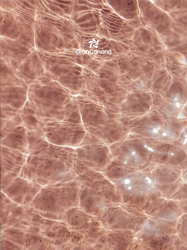 CAROLIN UNRATH PHOTOGRAPHY