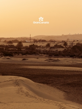 CAROLIN UNRATH PHOTOGRAPHY