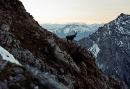 CAROLIN UNRATH PHOTOGRAPHY