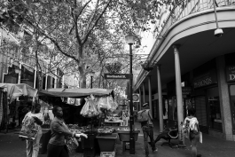 CAROLIN UNRATH PHOTOGRAPHY