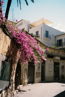 CAROLIN UNRATH PHOTOGRAPHY