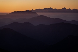 CAROLIN UNRATH PHOTOGRAPHY