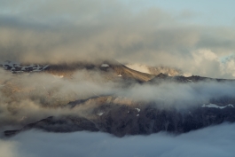 CAROLIN UNRATH PHOTOGRAPHY