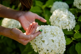 CAROLIN UNRATH PHOTOGRAPHY