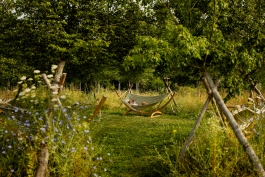 CAROLIN UNRATH PHOTOGRAPHY