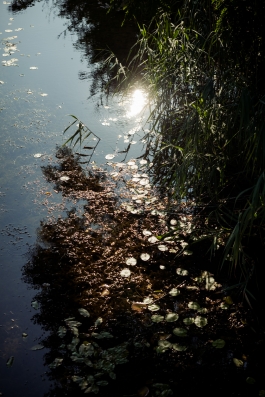 CAROLIN UNRATH PHOTOGRAPHY