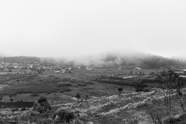 CAROLIN UNRATH PHOTOGRAPHY