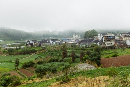 CAROLIN UNRATH PHOTOGRAPHY