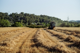 CAROLIN UNRATH PHOTOGRAPHY