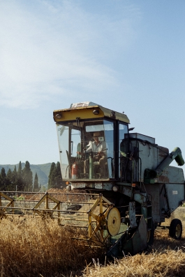 CAROLIN UNRATH PHOTOGRAPHY