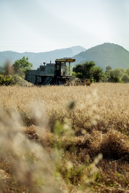 CAROLIN UNRATH PHOTOGRAPHY