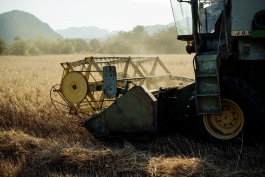 CAROLIN UNRATH PHOTOGRAPHY