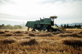 CAROLIN UNRATH PHOTOGRAPHY