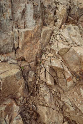 CAROLIN UNRATH PHOTOGRAPHY