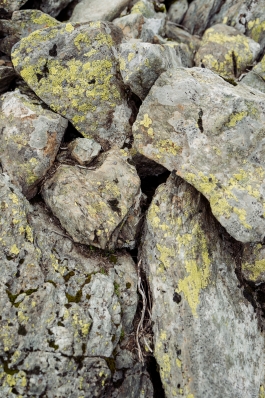 CAROLIN UNRATH PHOTOGRAPHY