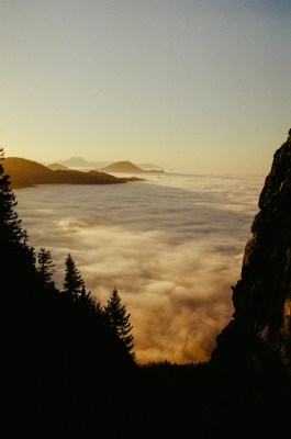 CAROLIN UNRATH PHOTOGRAPHY