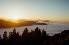 CAROLIN UNRATH PHOTOGRAPHY