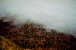 CAROLIN UNRATH PHOTOGRAPHY