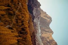 CAROLIN UNRATH PHOTOGRAPHY