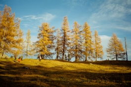 CAROLIN UNRATH PHOTOGRAPHY