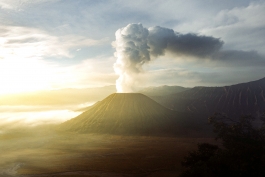 CAROLIN UNRATH PHOTOGRAPHY