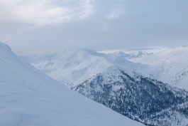 CAROLIN UNRATH PHOTOGRAPHY