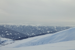 CAROLIN UNRATH PHOTOGRAPHY