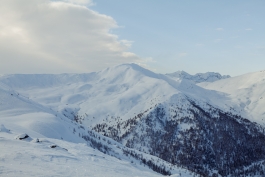 CAROLIN UNRATH PHOTOGRAPHY