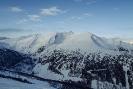 CAROLIN UNRATH PHOTOGRAPHY