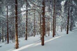 CAROLIN UNRATH PHOTOGRAPHY