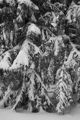 CAROLIN UNRATH PHOTOGRAPHY