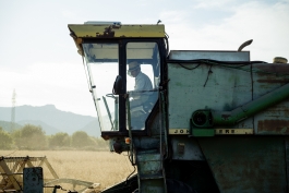 CAROLIN UNRATH PHOTOGRAPHY