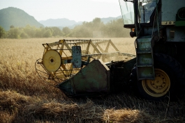 CAROLIN UNRATH PHOTOGRAPHY